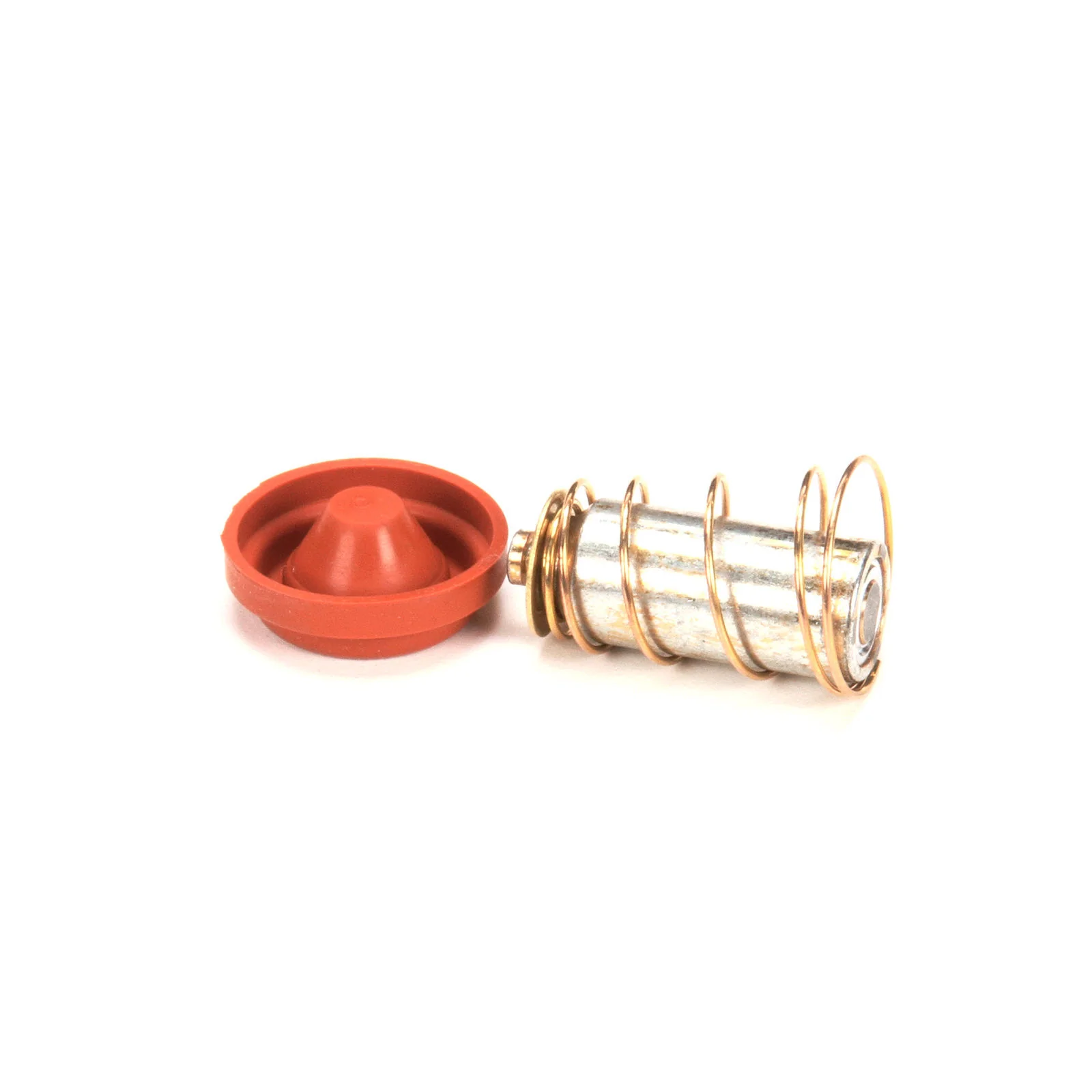 Fetco Valve Rebuild Kit (57016) Brewer